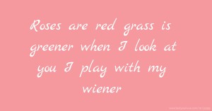 Roses are red grass is greener when I look at you I play with my wiener