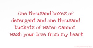 One thousand boxes of detergent and one thousand buckets of water cannot wash your love from my heart