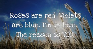 Roses are red.  Violets are blue.  I'm in love.  The reason is YOU!